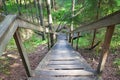 Wooden stairs in forest Royalty Free Stock Photo