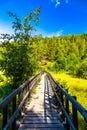 Wooden stairs in forest are leading upwards seamed by moss covered stones and the wooden railing in a spring scenery in