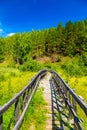 Wooden stairs in forest are leading upwards seamed by moss covered stones and the wooden railing in a spring scenery in