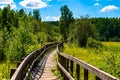 Wooden stairs in forest are leading upwards seamed by moss covered stones and the wooden railing in a spring scenery in