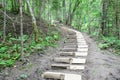 Wooden stairs in the forest. Sigulda. Royalty Free Stock Photo