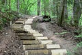 Wooden stairs in the forest. Sigulda. Royalty Free Stock Photo