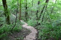 Wooden stairs in the forest. Sigulda. Royalty Free Stock Photo