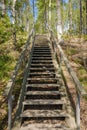 Wooden stairs in forest at summer day in Finland