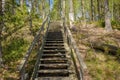 Wooden stairs in forest at summer day in Finland