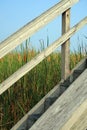 Wooden Stairs in front of Cat Tails