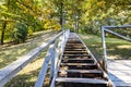 Wooden stairs going up on the hill and forest Royalty Free Stock Photo