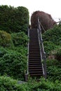 Wooden Staircase Going Up Hill Amid Green Bushes Royalty Free Stock Photo