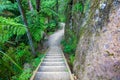 Wooden stairs of hiking track, Mount Manaia.