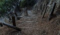 Wooden stairs leading path to a beach Royalty Free Stock Photo