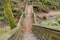 Wooden stairs leading to a small bridge over a creek at Washington Royalty Free Stock Photo