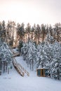 Wooden stairs leading up to the forest illuminated by the warm sunlight. Pine trees covered with snow in the winter wonderland