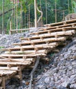 wooden stairs made from bamboo tree brown color. natural material building from tree part
