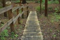 Wooden stairs in the middle of nature Royalty Free Stock Photo