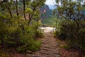Wooden stairs on mountain track in Australian bush Royalty Free Stock Photo