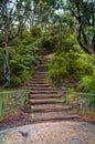 Wooden stairs on mountain track in Australian bush Royalty Free Stock Photo