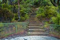 Wooden stairs on mountain track in Australian bush Royalty Free Stock Photo