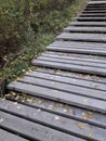 Wooden stairs in the Park. On the steps are fallen yellow autumn leaves of trees. Royalty Free Stock Photo