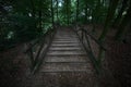 Stairway in the forest Royalty Free Stock Photo