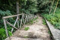 Wooden stairs / path through the forest Royalty Free Stock Photo