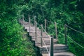Wooden stairs path in the forest in summer season Royalty Free Stock Photo