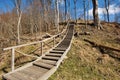 Wooden stairs pathway through forest woods Royalty Free Stock Photo