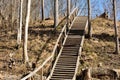 Wooden stairs pathway through forest woods Royalty Free Stock Photo