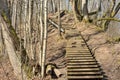 Wooden stairs pathway through forest woods Royalty Free Stock Photo