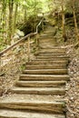 Wooden stairs with wooden railing up to the steep hillside Royalty Free Stock Photo