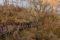 Wooden stairs in tall undergrowth Royalty Free Stock Photo