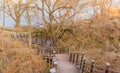 Wooden stairs in tall undergrowth Royalty Free Stock Photo