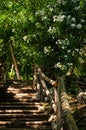 Wooden stairs to the famous Beach 300 Steps in Gaeta, Italy. Royalty Free Stock Photo