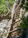 Wooden stairs on the trail to Inelet and Scarisoara hamlets, Romania