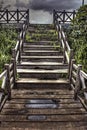 wooden stairs under the plants