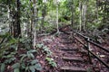 Wooden stairs up to mountain Kinabalu Royalty Free Stock Photo