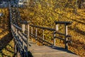 Wooden stairs with yellow and orange leaves in the autumn forest Royalty Free Stock Photo