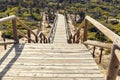 Wooden stairway down to the park on sand dunes Royalty Free Stock Photo