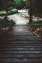 A wooden stairway in the forest Royalty Free Stock Photo