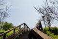 Wooden stairway going up the hill at the Gwangkyo Lake Park in South Korea Royalty Free Stock Photo