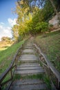 Wooden Stairway in Lush Greenery