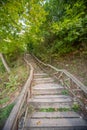 Wooden Stairway in Lush Greenery