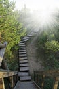 Wooden stairway to heaven Royalty Free Stock Photo