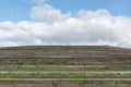 Wooden stairway to heaven with grass, copy-space Royalty Free Stock Photo