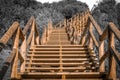 Wooden Stairway