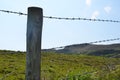 Wooden stake with barbed wire boundary of pasture Royalty Free Stock Photo
