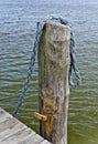 Wooden stake and blue rope Royalty Free Stock Photo