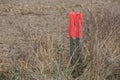 Wooden stake with red paint pegged on the ground at a field