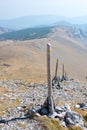 Wooden stakes on the edge, Puchberg am Schneeberg, Austria