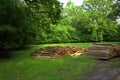 Wooden stakes from trees for construction Royalty Free Stock Photo