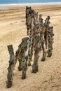 Wooden Stakes Royalty Free Stock Photo